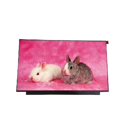 15,6 Zoll 1366x768 LED Notizbuch-LCD-Bildschirm-Anzeige B156XTN01.0