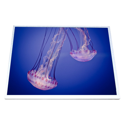 Guter Preis HSD100IXN1-A10 LCD-Bildschirm 10,0 Zoll LCD-Panel Online