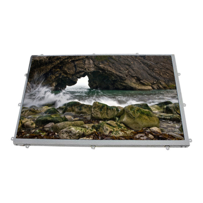 Guter Preis LQ101K1LY02 10,1 Zoll 1208*800 LCD-Display LCD-Platte Online