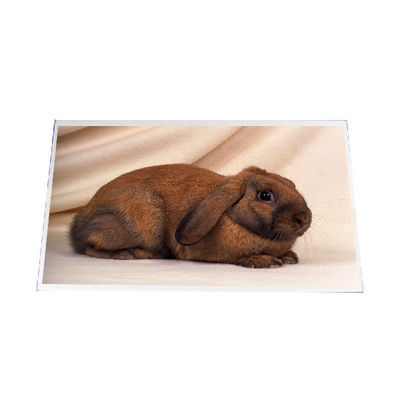 Guter Preis B140RW03 V1 14,0 Zoll 1600*900 LCD-Bildschirm Online