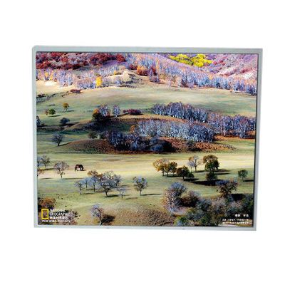 Guter Preis LM200WD1-TLA9 20,0 Zoll 1600*900 TFT-LCD-Display Online