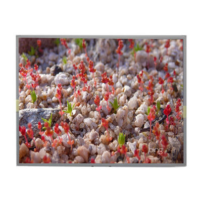 Guter Preis LM201W01-A6K2 20,1 Zoll LCD-Panel 1680*1050 LCD-Display Online