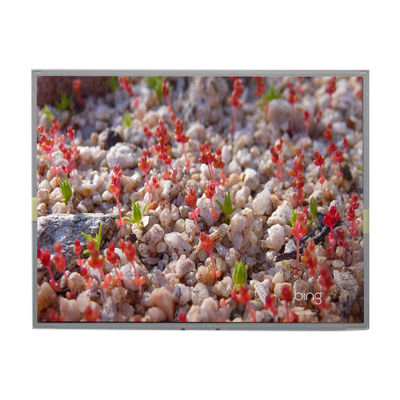 Guter Preis LM2011-SLWE01 Original 20,1 Zoll 1680*1050 LCD-Display Bildschirm Online