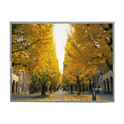 Guter Preis LM2013-WETLB1 20,1 Zoll LCD-Bildschirm 1680*1050 LCD-Display Online