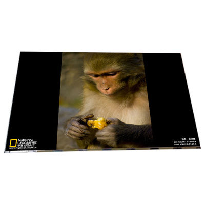 Guter Preis LM238WF6-SSA1 1920*1080 23,8 Zoll TFT-LCD-Displaymodul-Panel Online