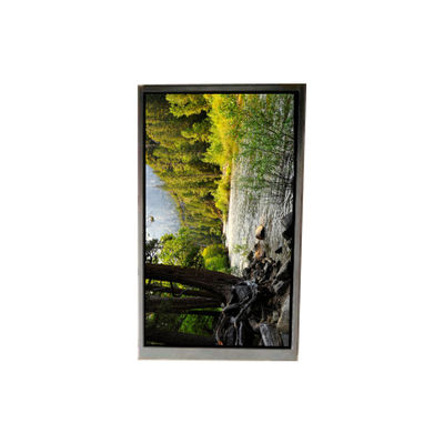 Guter Preis BA050WQ2-200 5,0 Zoll 480*272 LCD-Bildschirm für tragbare Navigation Online