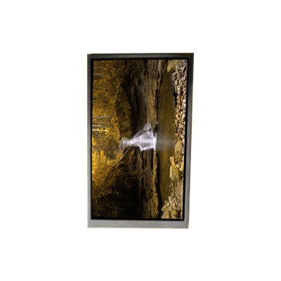 Guter Preis BA050WQ4-100 5,0 Zoll 480*272 LCD-Bildschirm für tragbare Navigation Online