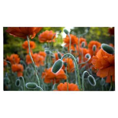 Guter Preis LM270WR8-SSC1 27.0 Zoll LCD-Panel 3840*2160 LCD-Display Online