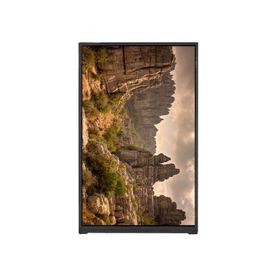 Guter Preis BP096WX2-100 9,6 Zoll LCD-Bildschirm Online