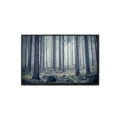 Guter Preis BP101WX2-100-3QP0 10,1 Zoll LCD-Bildschirm Online