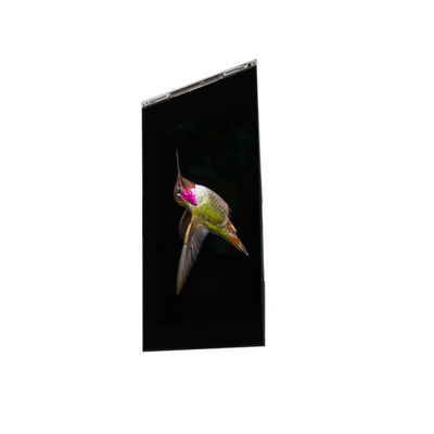 Guter Preis BS062FBE-L30-6Q00 6,3 Zoll LCD-Display LCD-Bildschirm Online