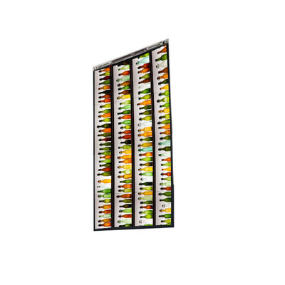 Guter Preis 5.5 Zoll 480*854 BT055FWM-N00 LCD-Bildschirm für BOE Online