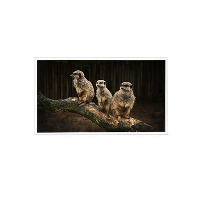 Guter Preis RV150U0M-NI0 1600*1200 15,0 Zoll LCD-Bildschirm Online