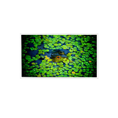 Guter Preis 1920*1080 QV215FHB-N51 21,5 Zoll LCD-Bildschirm für Industrie Online