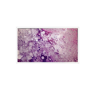 Guter Preis RV201U0M-N00 1600*1200 20,1 Zoll LCD-Bildschirm für Industrie Online