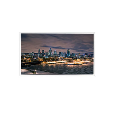 Guter Preis 1600*1200 20,1 Zoll RV201U0M-N01 LCD-Bildschirm für Hochhelligkeit Online