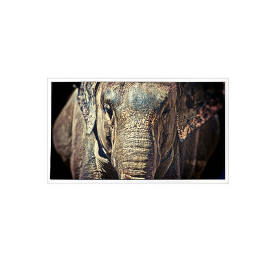 Guter Preis VL-FS-7HD 1280*768 7,0 Zoll LCD-Bildschirm für Automobilbildschirme Online