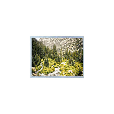 Guter Preis 1280*800 10,1 Zoll G101EAN02.A WLED Online