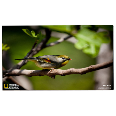 Guter Preis 24.0 Zoll 1920*1200 M240UAN02.1 ZELLEN-LCD-Bildschirm Online