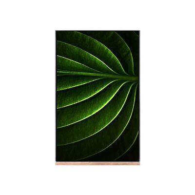 Guter Preis LCD-Bildschirm 10,1 Zoll für NV101WUM-N53 LCD-Modul Online