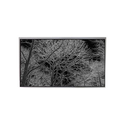 Guter Preis 6.2 Zoll TA062VGHX01 LCD-Display-Monitor für Mobiltelefone mit Touchscreen Online