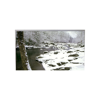 Guter Preis TA055VGHM01-02 5,5-Zoll-LCD-Bildschirmmodul 1080*1920 Online