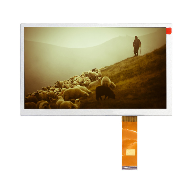 Hannstar HSD080IFW1-A00 1024*600 Modulbildschirmanzeige 8,0 Zoll IPS TFT LCD