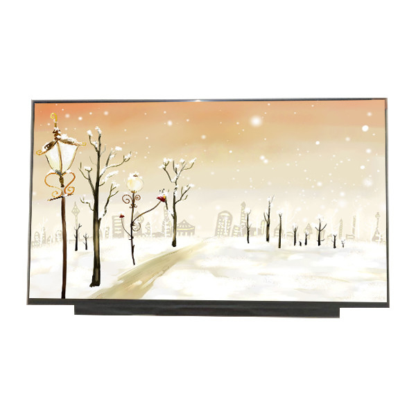 Neuer 17,3 Zoll B173HAN04.0 1920*1080 127PPI LCD-Display für AUO