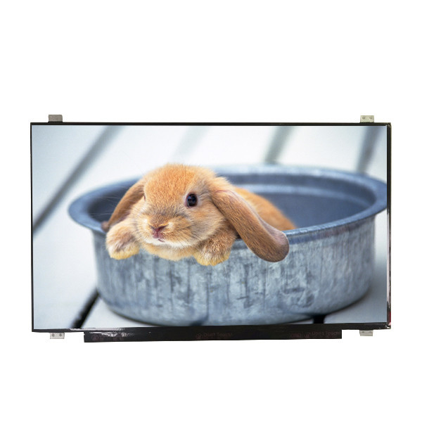 Lieferung B173HAN01.4 Größe 17,3 Zoll Matte Hard Coating LCD Bildschirm