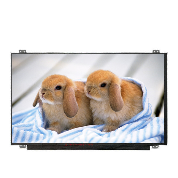 B156HAN04.4 Größe 15.6 Zoll LCD-Display mit LED-Treiber