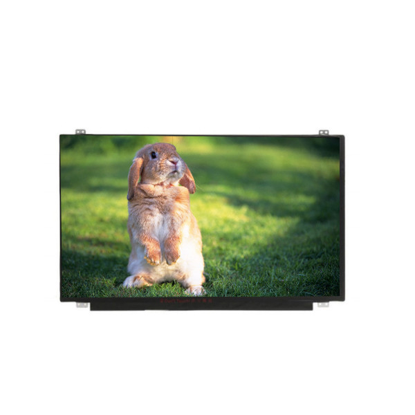 RGB-Vertikalbar B156HAN01.1 15,6 Zoll 3,3VTyp LCD-Display