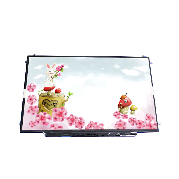 RGB 1680*1050 128PPI B154SW02 V1 Größe 15,4 Zoll LCD Modul