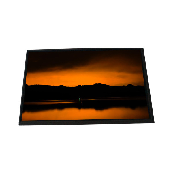 LTL101AL03-W01 10,1 Zoll LCD-Bildschirm 1280*800 LCD-Display TFT-Modul