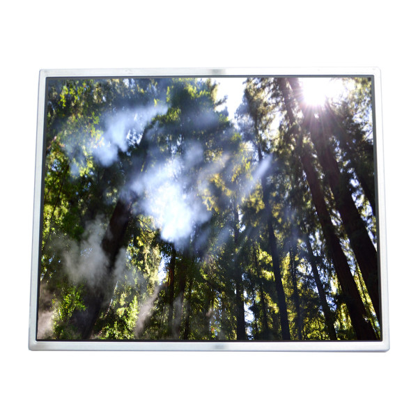LTM190M2-L01 LCD-Display 19,0 Zoll Bildschirm LVDS 30-Pin-Anschluss-LCD-Modul