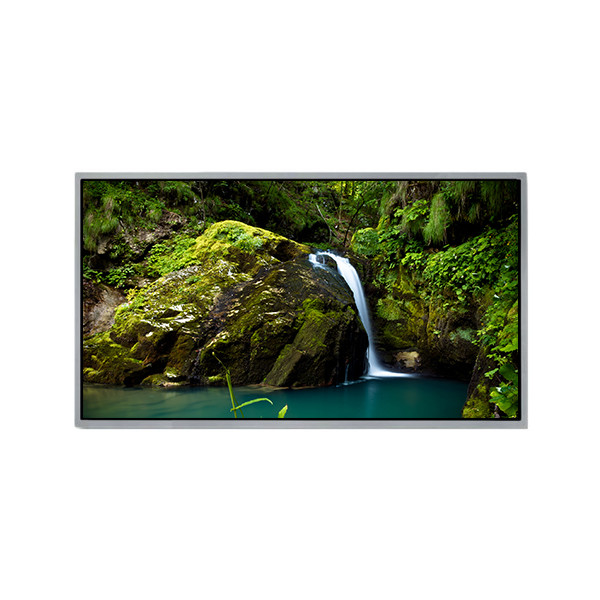 10.1 Zoll 1920*1200 GS101WUM-N40 LCD-Bildschirm für Outdoor-Hochhelligkeit