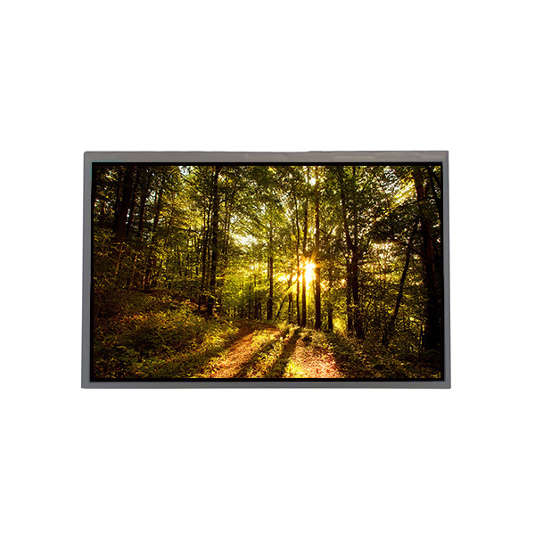 GV101WXM-N10 800*1280 10,1 Zoll 16,7M 0%NTSC LCD-Bildschirm für BOE