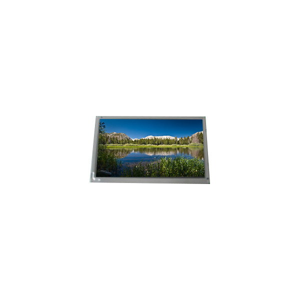 1280*800 G101ICE-LH1 10,1 Zoll 500 cd/m2 LVDS-LCD-Bildschirm