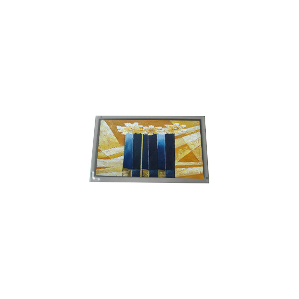 AM-800480RSTMQW-TAUH 7,0 Zoll 262K LCD-Bildschirm