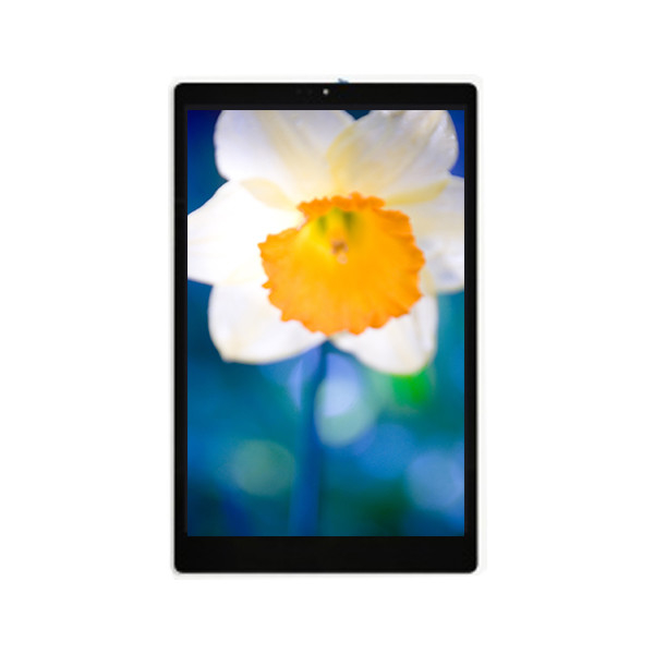 TV101WXM-NLA 10,1 Zoll 800*1280 LCD-Bildschirm für Pad Tablet