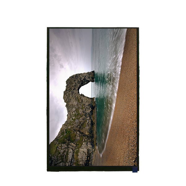 10.1 Zoll 1200 * 1920 LCD-Display-Panel TV101WUM-NX0 für Pad Tablet