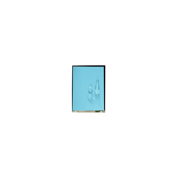 LS060B1SX01 6,0 Zoll LCD-Bildschirm 1080*2160 1500 Cd/M2 LCD-Touchscreen