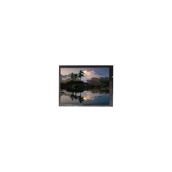 F050A19-6T1 5,0 Zoll 720*1280 LCD-Bildschirm für Mobiltelefon