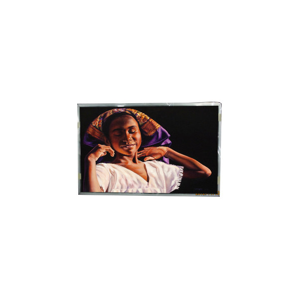 23.0 Zoll 1920*1080 LCD-Panel LTM230HL03 LCD-Display-Modul für Desktop-Monitor