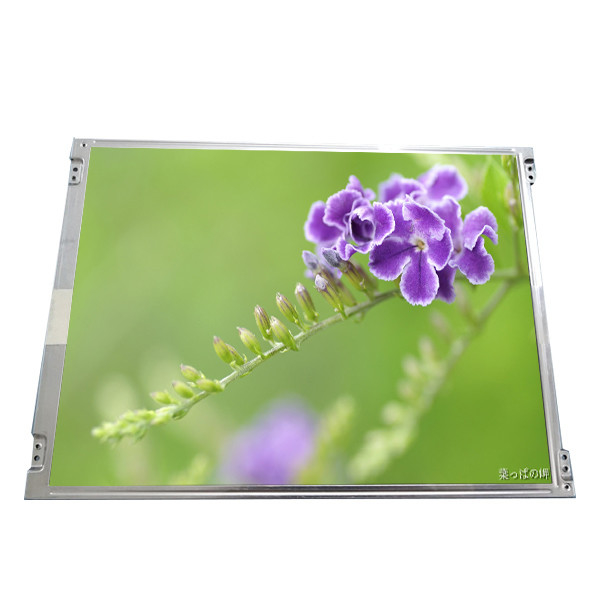 15 Zoll AUO-LCD-Bildschirm-L150X3M EC-1 1024*768 LCD Anzeigen-Blendschutzoberflächen-