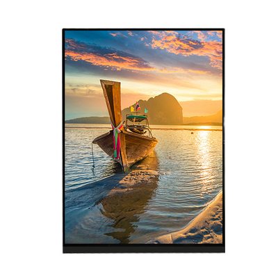 Guter Preis 7,9 LCD-Bildschirm-Anzeigefeld LQ079L1SX01 des Zoll-1536×2048 für iPad Mini 2 3 Online