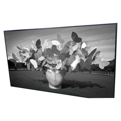 Guter Preis 42,0 Zoll 1920*1080 Anzeigefeld digitalen Beschilderung der LCD-Bildschirm-P420HVN01.0 Online