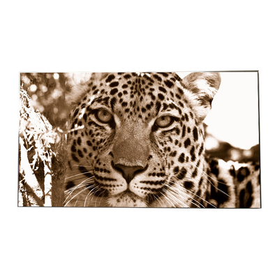 Guter Preis Original LG LCD-Videowandpaneele LD550DUS-SEF1 1920*1080 Auflösung Online
