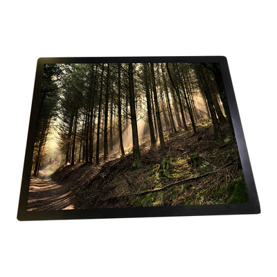 Guter Preis R190ECE-L01 LCD überwacht der 19,0 Zoll-LCD-Bildschirm-Anzeige Online