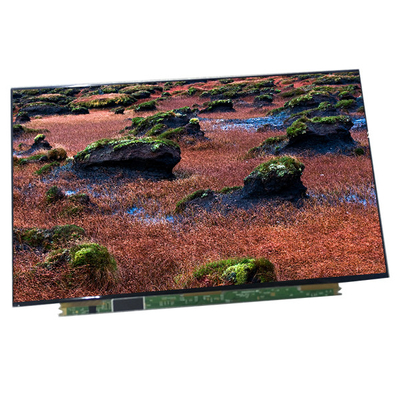 Guter Preis LQ133T1JW17 13,3 Zoll LCD Bildschirm Laptop Display Panel Online