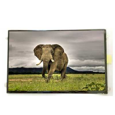 Guter Preis B101UAN01.9 10,1 Zoll 16,7M 52%NTSC LCD-Bildschirm Online
